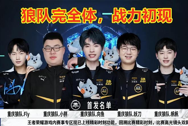 保护球员的
