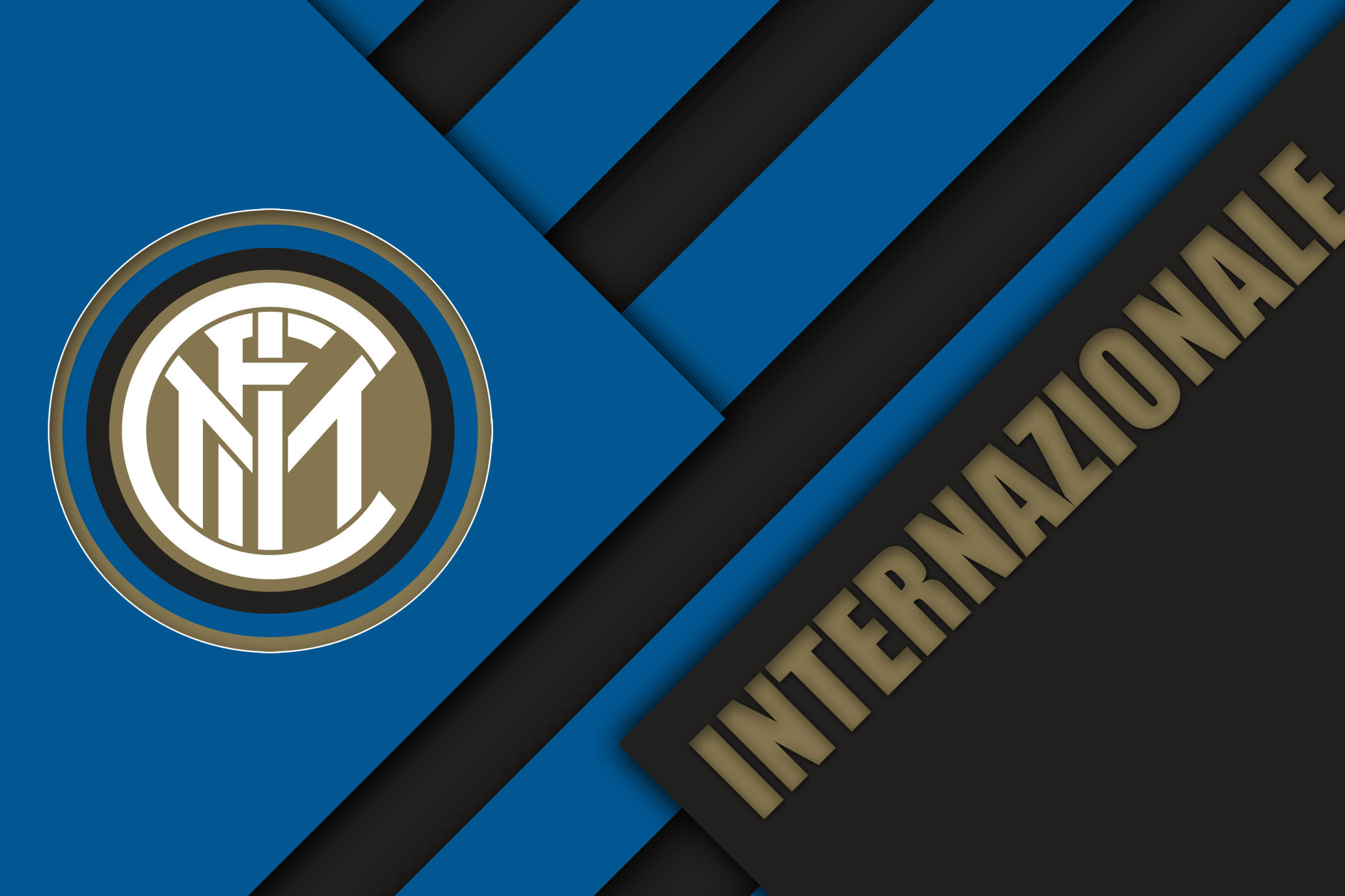 都是球迷们 都是球迷们