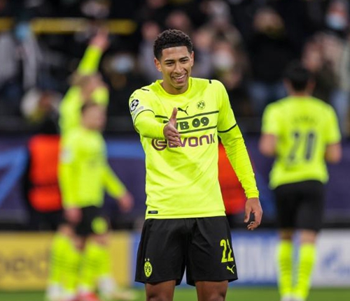 尼科极有可 尼科极有可